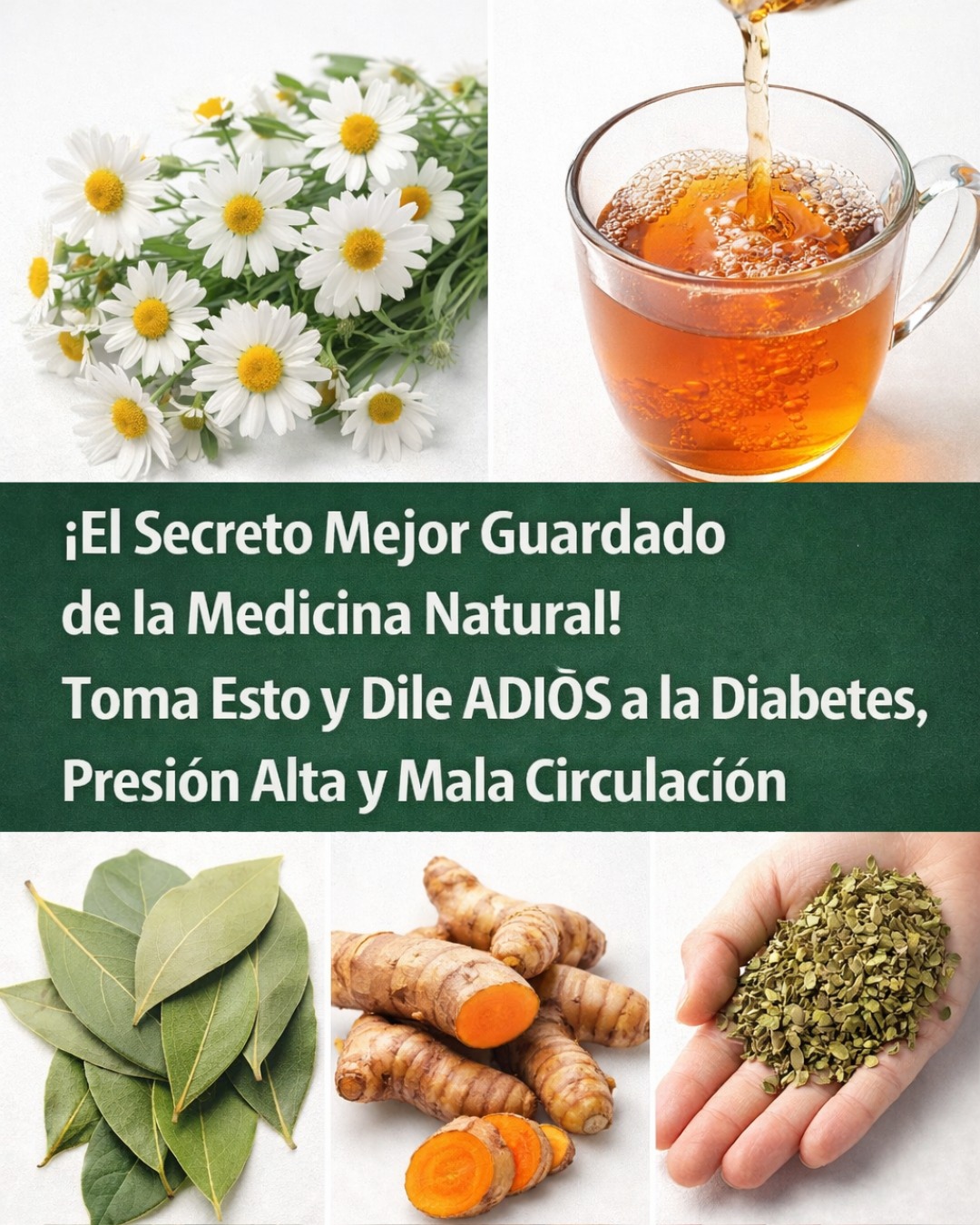 607999501 122146515962943773 9085330928899481683 n