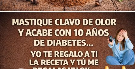 608051817 122147128040943773 6621876750831436902 n