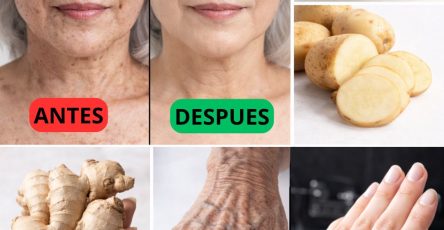 608516941 122147201174943773 5354729119497334059 n