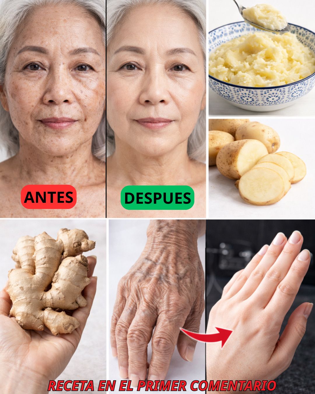 608516941 122147201174943773 5354729119497334059 n