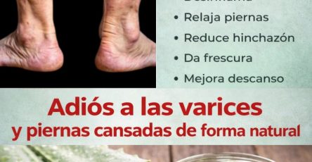 608986853 1505025107819436 6655076089205219815 n