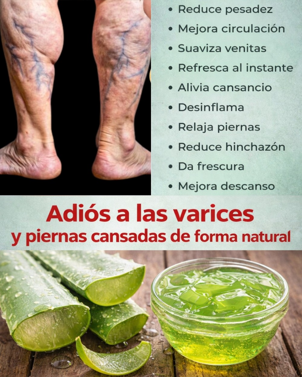 608986853 1505025107819436 6655076089205219815 n