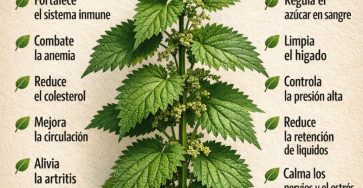 611287653 122147501810943773 4649980215937130572 n