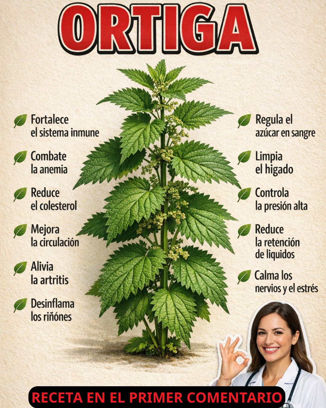 611287653 122147501810943773 4649980215937130572 n