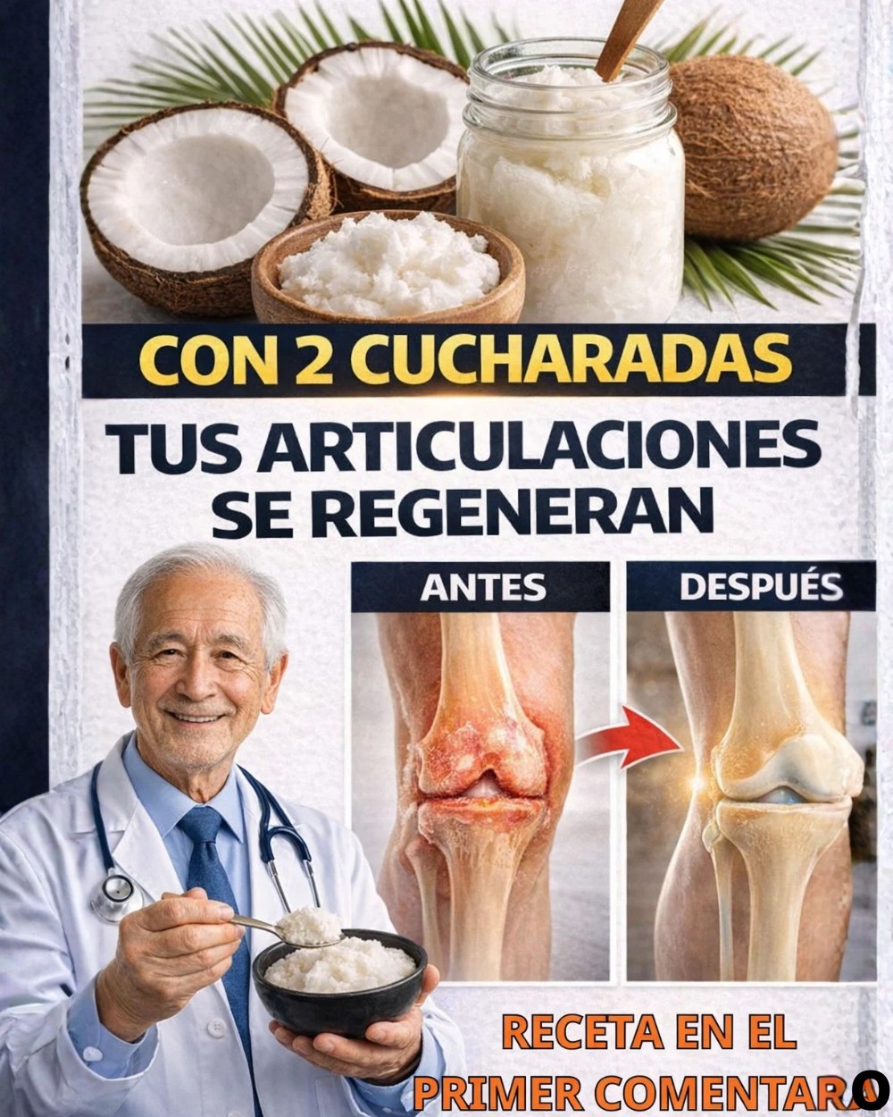 615669433 1512582020397078 6103761357126586914 n