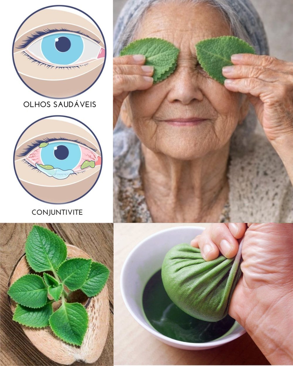 615751733 1516158810039399 1085663328864720622 n