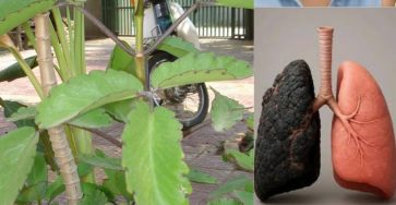 616303882 1515146796807267 1146615051022139623 n