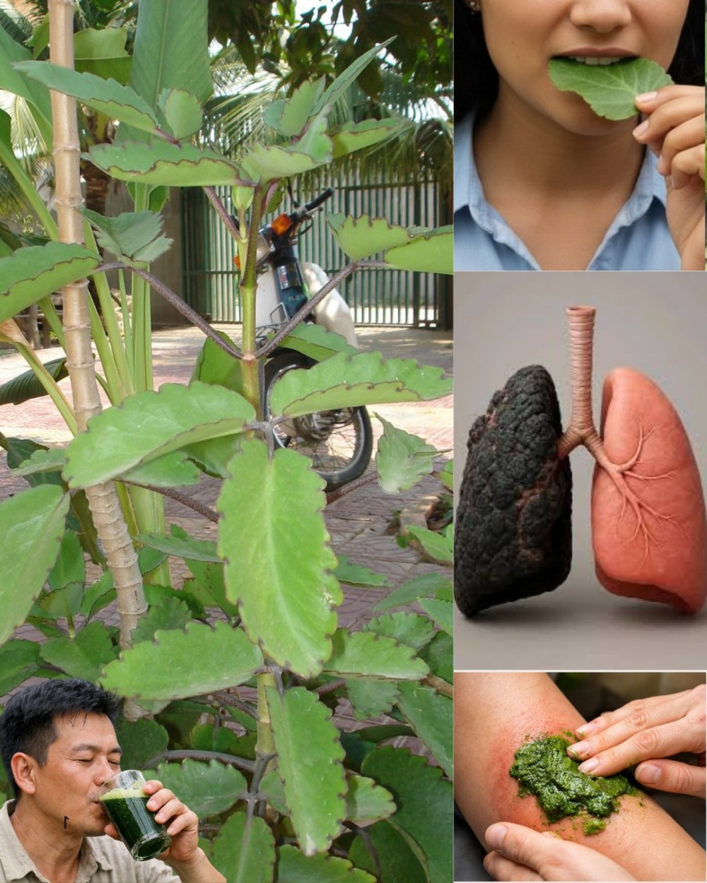 616303882 1515146796807267 1146615051022139623 n