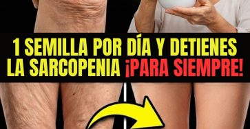 618337490 122150595020943773 4161533946946847084 n