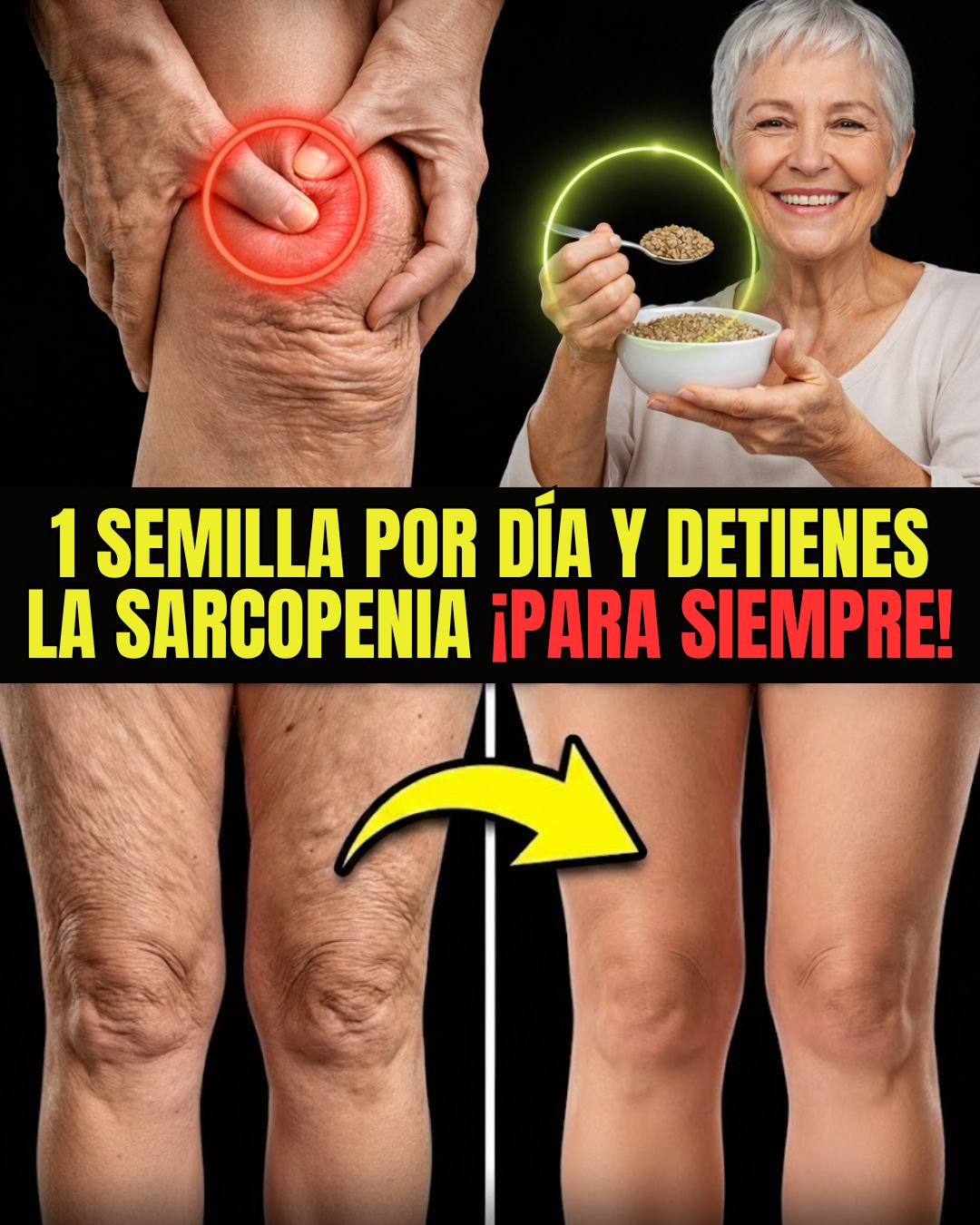 618337490 122150595020943773 4161533946946847084 n