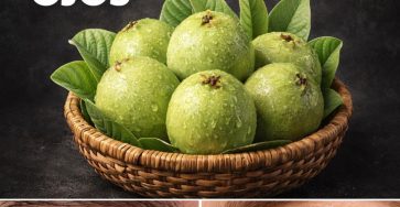 618813348 122150694020943773 8568848586604679654 n