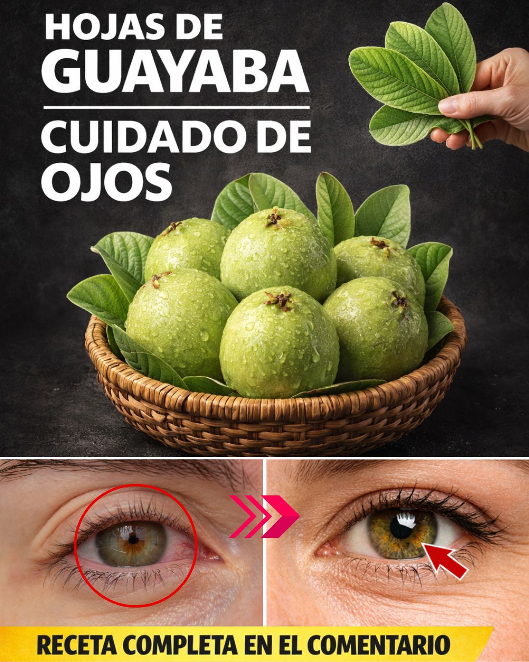 618813348 122150694020943773 8568848586604679654 n