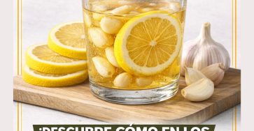 619222147 122150271872943773 4178512140614015464 n