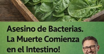 619514153 122151203030943773 4641051997297677735 n