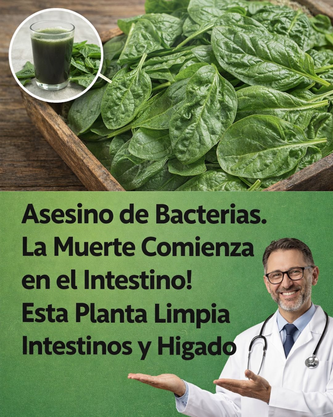 619514153 122151203030943773 4641051997297677735 n