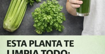 619544404 122150744450943773 6157938396051652218 n