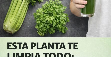 619544404 122150744450943773 6157938396051652218 n