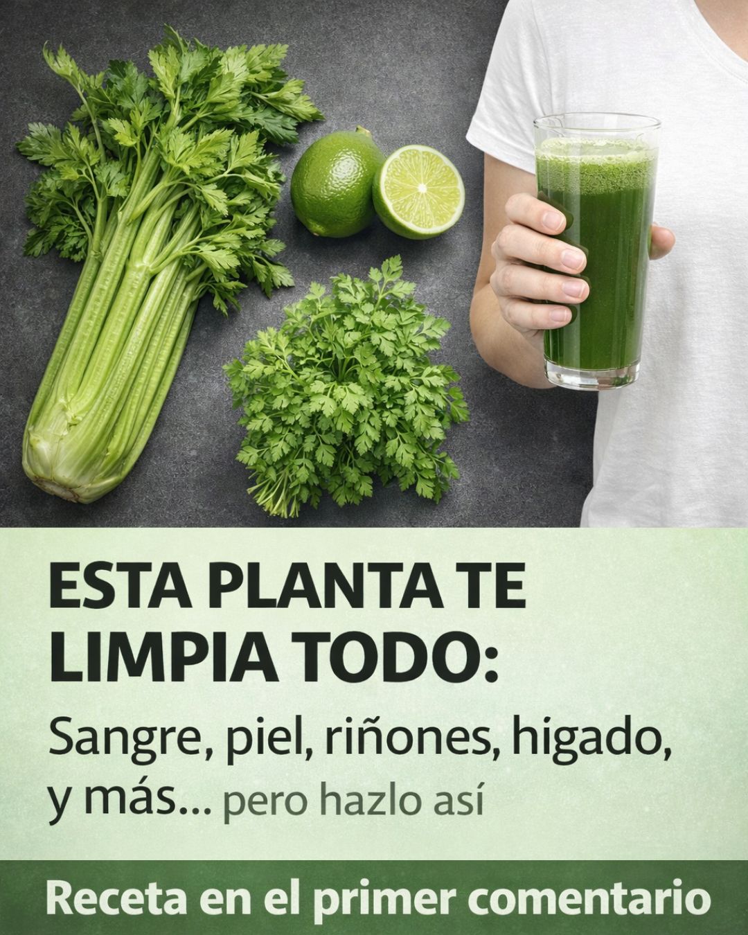 619544404 122150744450943773 6157938396051652218 n