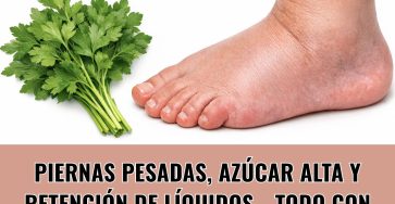 619900822 122151295118943773 5404336653208067776 n