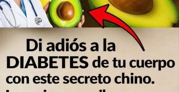 621657515 1524259385896008 1114724469598062804 n