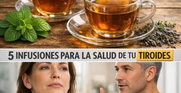 622382733 122151414308943773 4617904841259663077 n