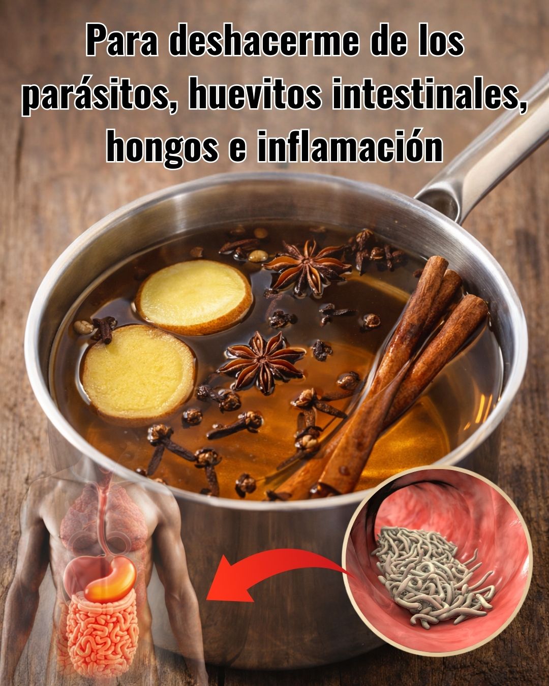 622456593 122150951546943773 432917686506983190 n