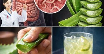 623559217 122152248806943773 4231303577406085196 n