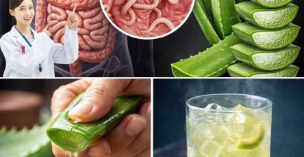 623559217 122152248806943773 4231303577406085196 n