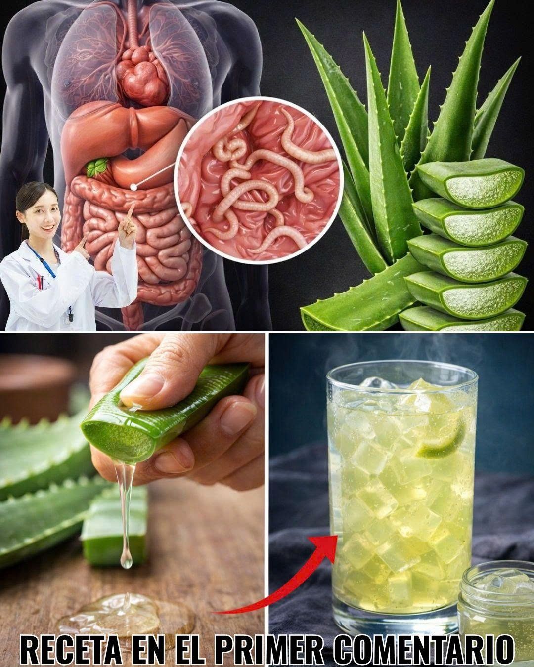 623559217 122152248806943773 4231303577406085196 n