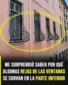 623830441 1302037285288029 9066879951334376517 n