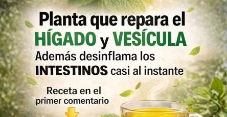 626741255 1530417478613532 1425056915932121926 n