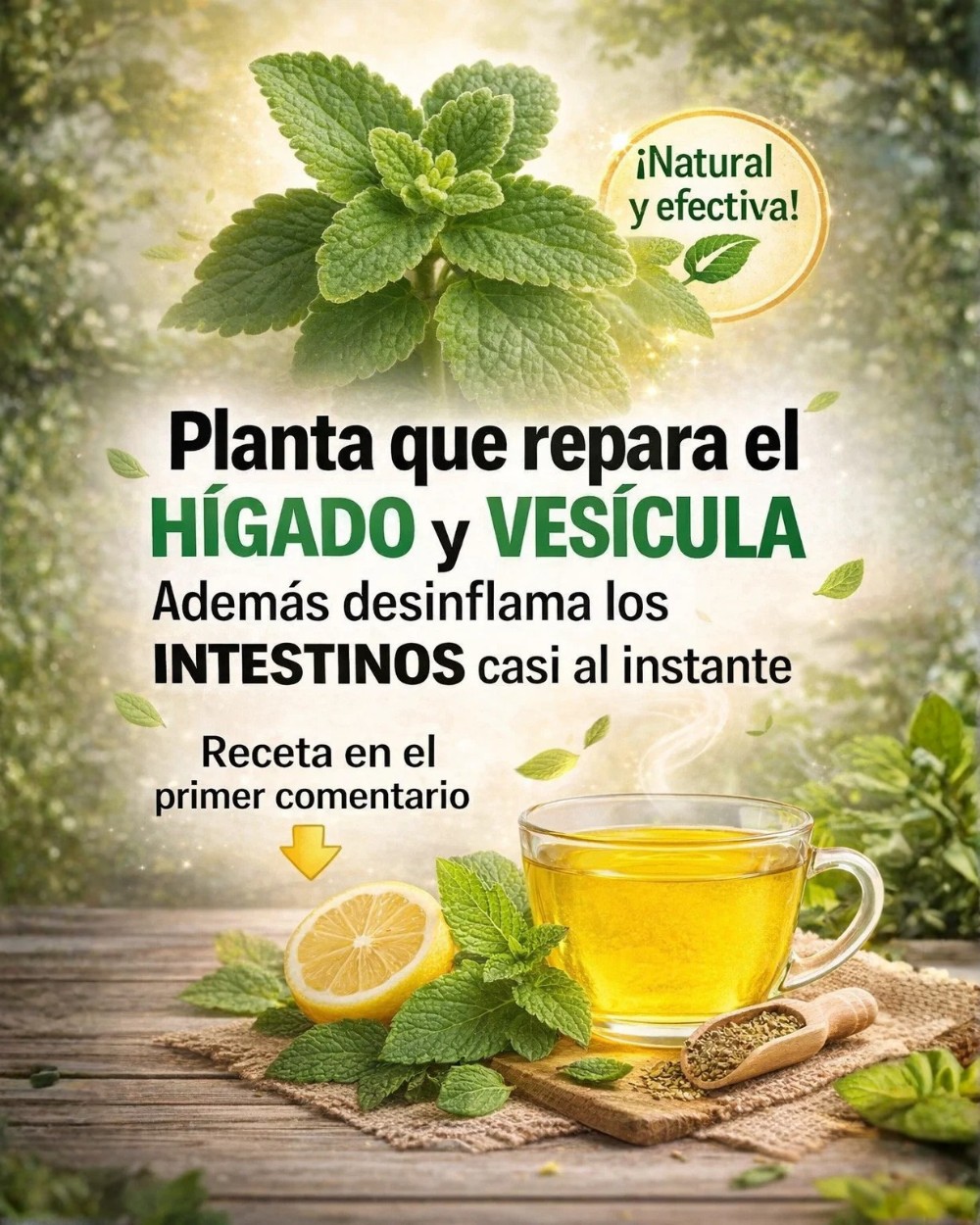 626741255 1530417478613532 1425056915932121926 n