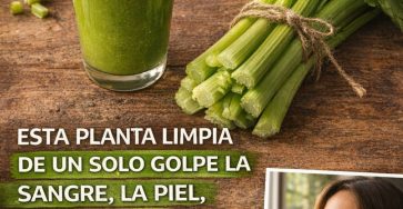 626760674 122152405220943773 6575554229036450245 n