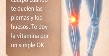 633527034 122154657932943773 985441144357815898 n