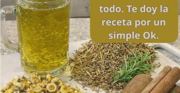 636747891 1545919117063368 1558294731755095859 n