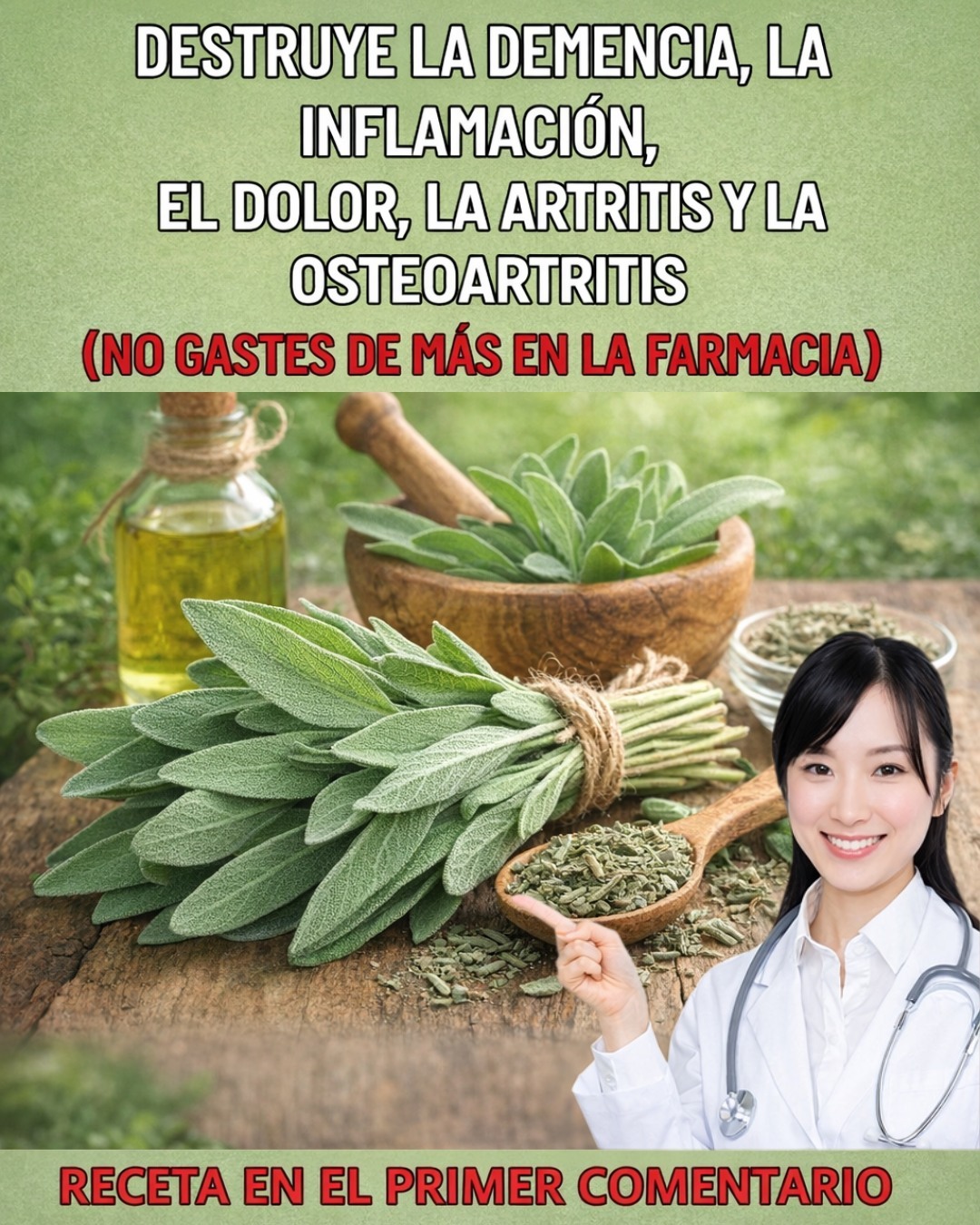 637641707 1545293263792620 1304431614839654870 n