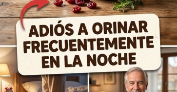 643795171 122156982884943773 6654699634131004374 n