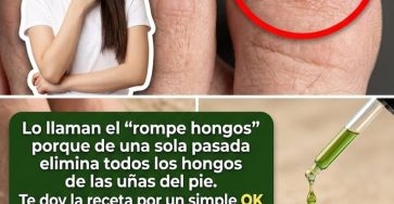 643834937 122156610344943773 2836923831062812911 n