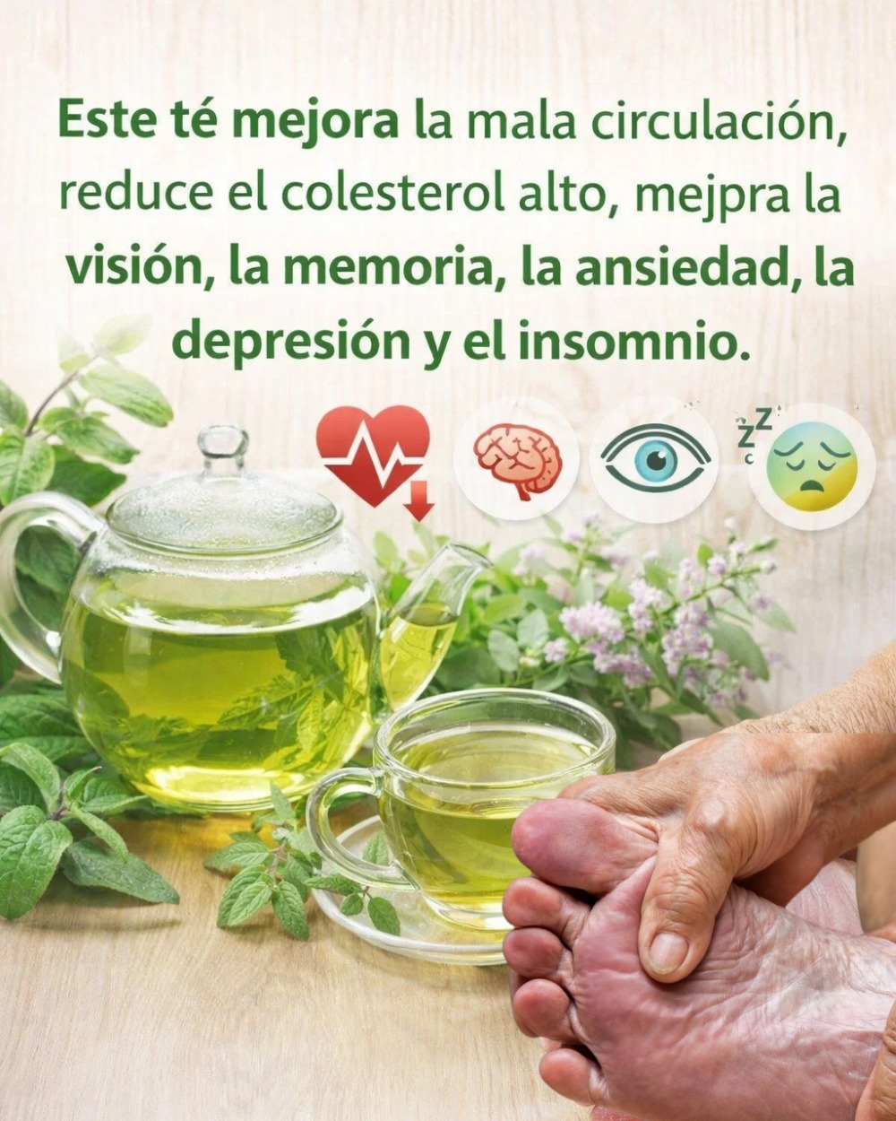 644035584 1554479549540658 4702070008337748973 n