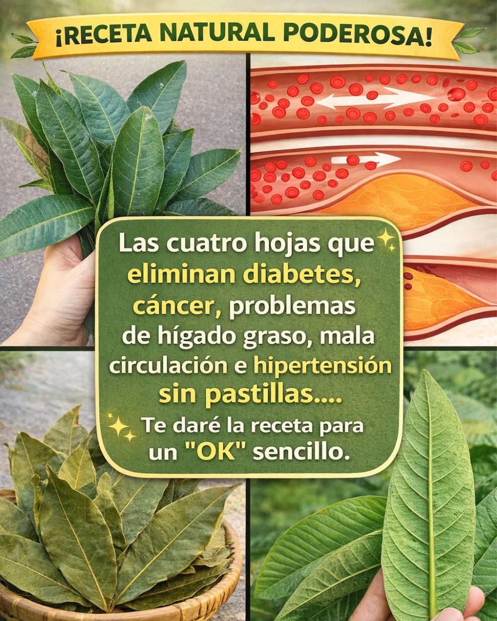 644277510 1553704736284806 6450631377506614861 n