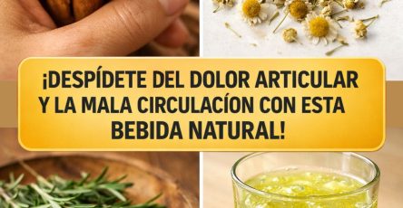 644339860 122156758400943773 5332759157432985287 n