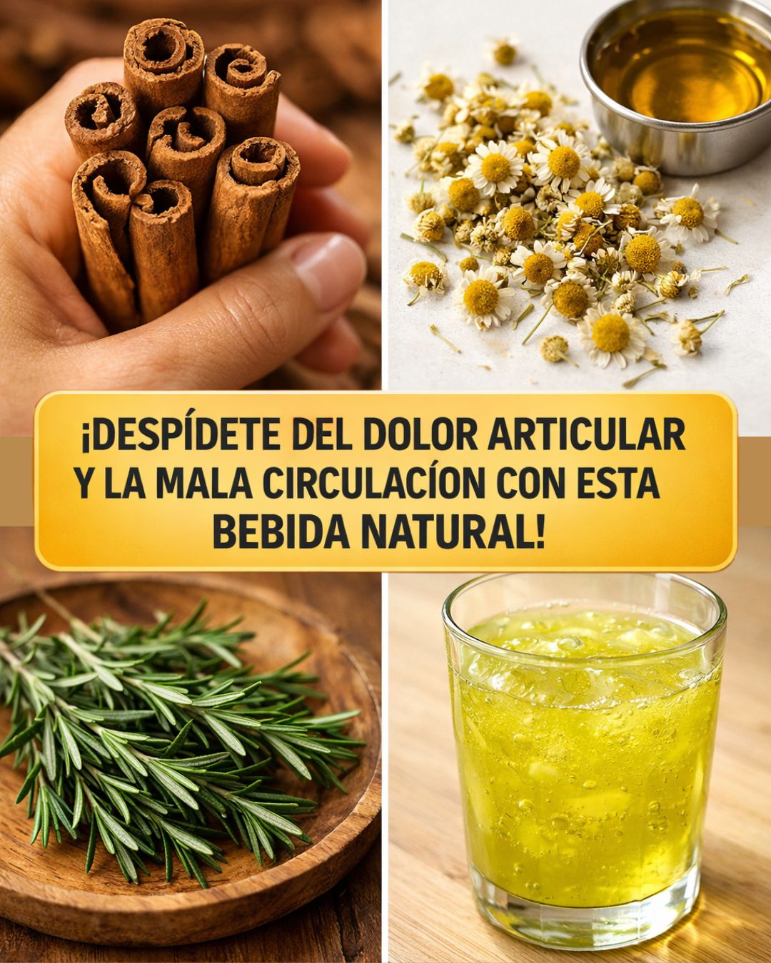 644339860 122156758400943773 5332759157432985287 n