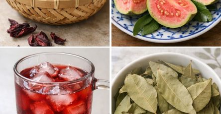 646089666 122157073208943773 6443727199670073765 n