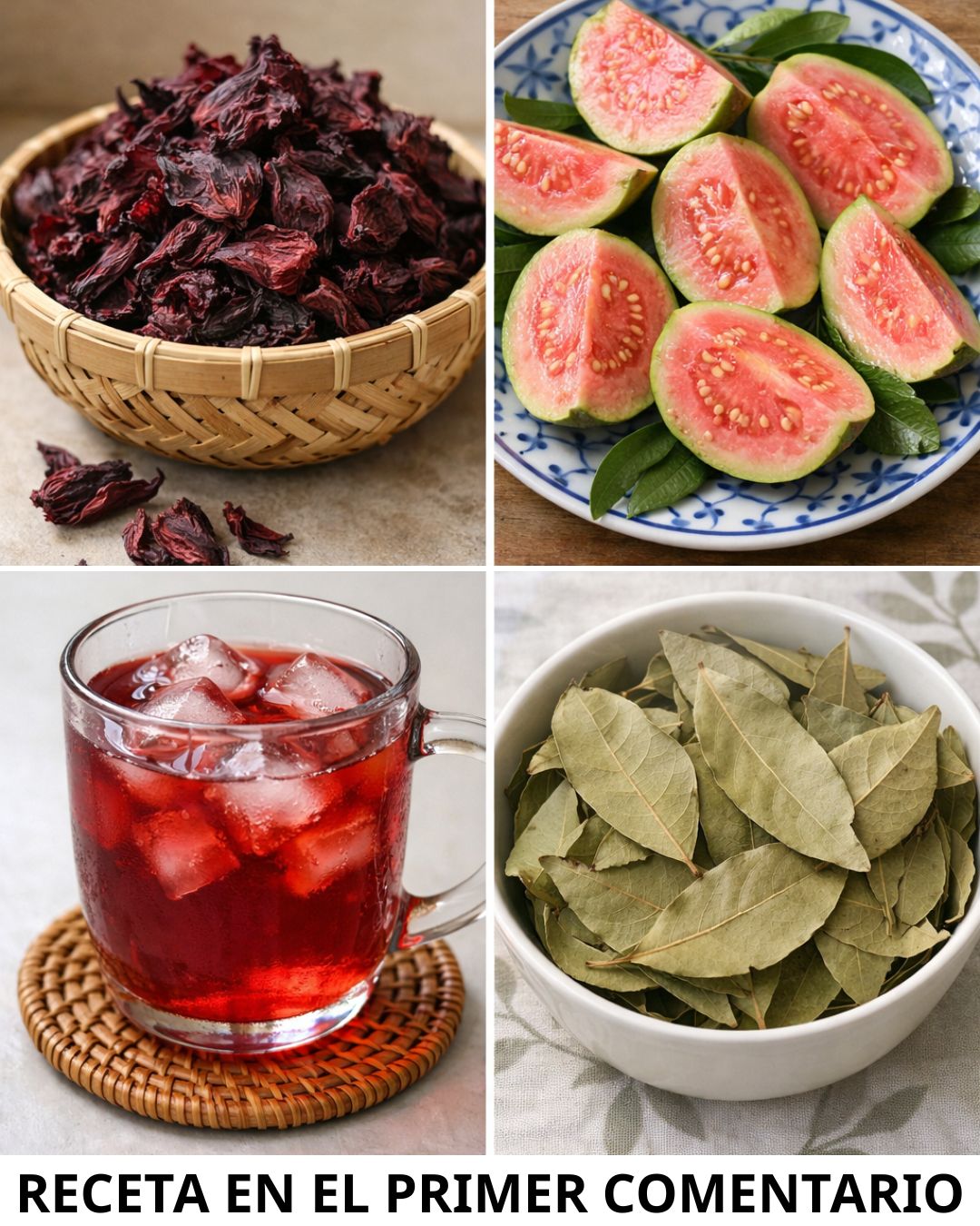 646089666 122157073208943773 6443727199670073765 n