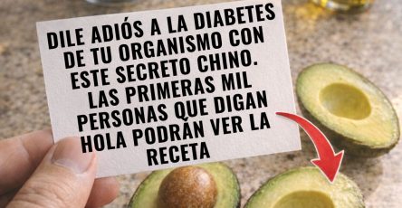 646306680 122157434570943773 1409380256844795652 n