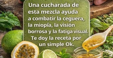 646913922 1560257275629552 9173914456040038930 n