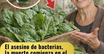 649143642 122157819578943773 8481905680628389116 n