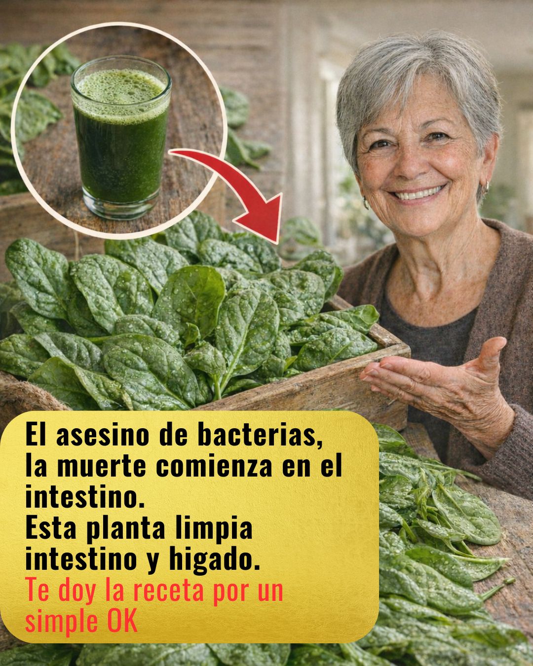 649143642 122157819578943773 8481905680628389116 n