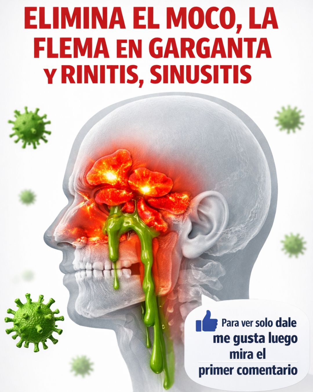 649837469 122159314850943773 6535116923549015866 n