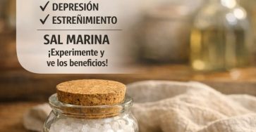 650050656 122158810154943773 8063715026721578896 n